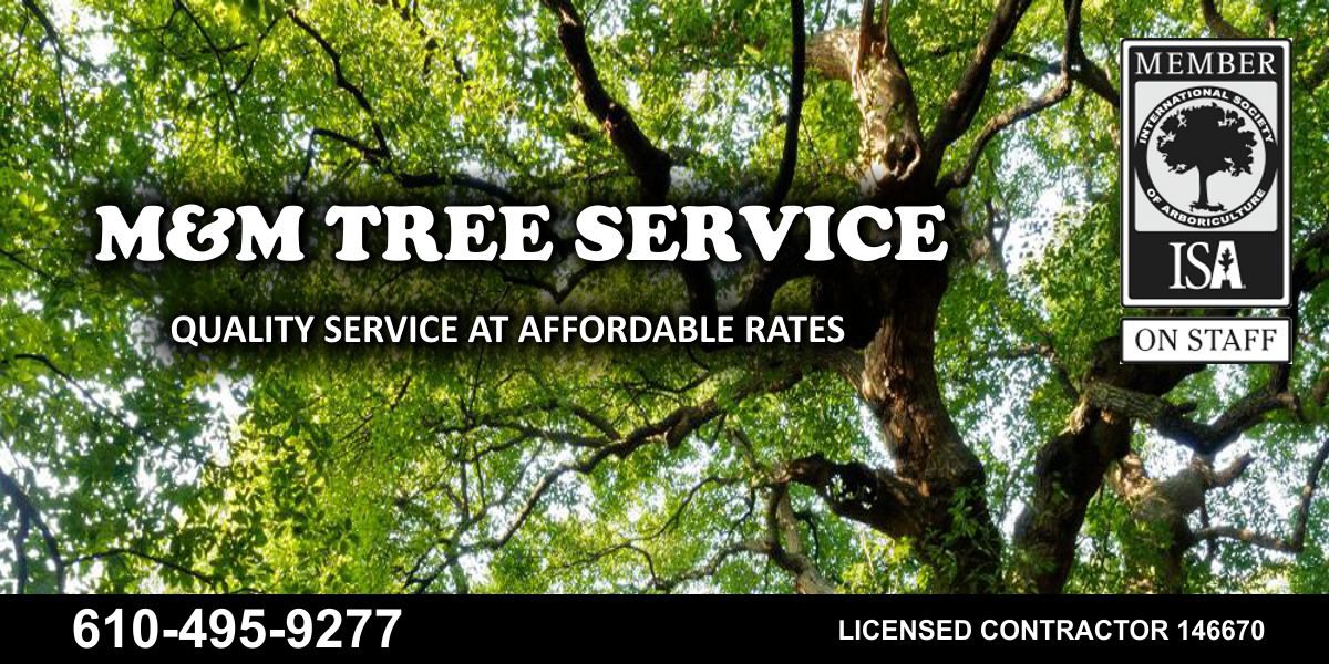 Pennsylvania Tree Service Company
